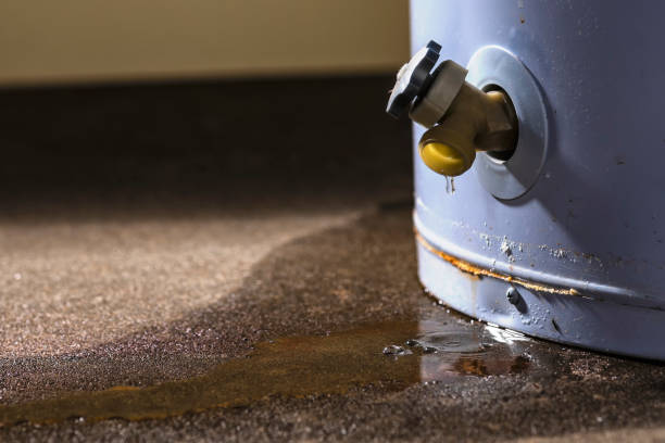 Best Water damage restoration insurance claims  in Llender, CA