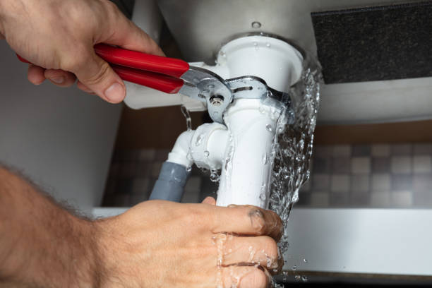 Best Flooded house restoration  in Llender, CA