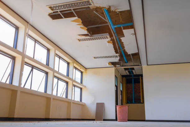 Best Basement water damage restoration  in Llender, CA