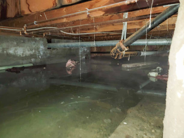 Best Emergency water damage restoration  in Llender, CA