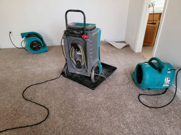 Best Water damage restoration specialists  in Llender, CA