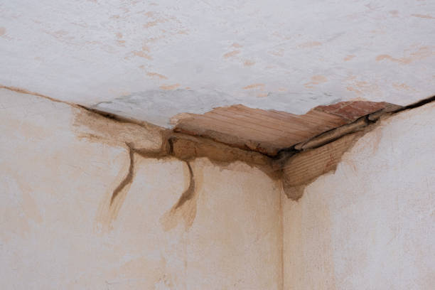 Best Basement water damage restoration  in Llender, CA