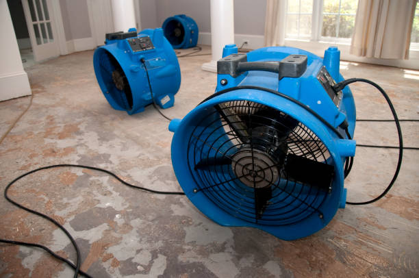 Best Water damage restoration experts  in Llender, CA
