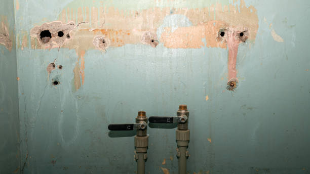  Llender, CA Water damage restoration Pros