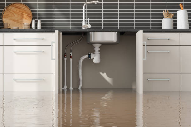 Best Mold removal after water damage  in Llender, CA